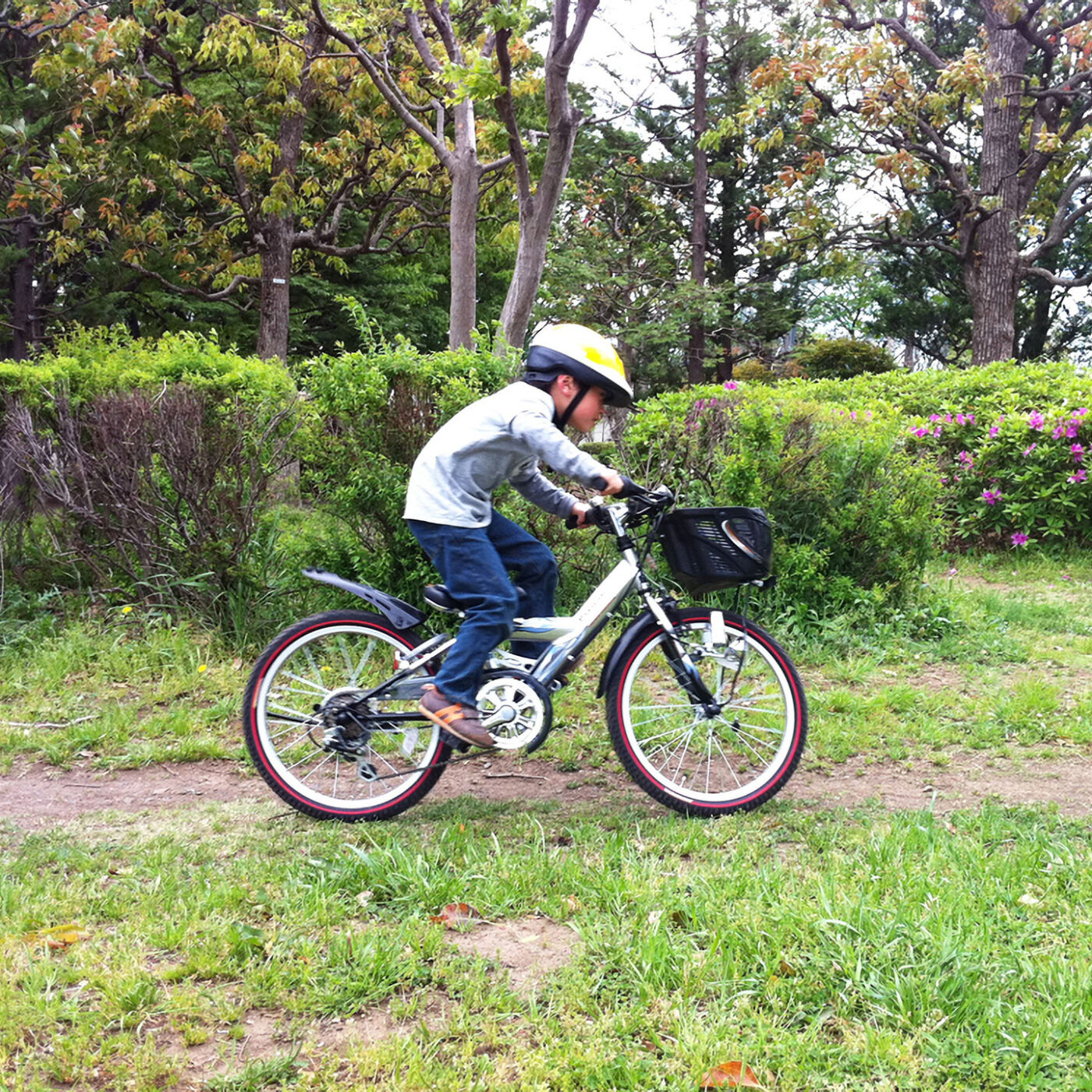 息子の自転車