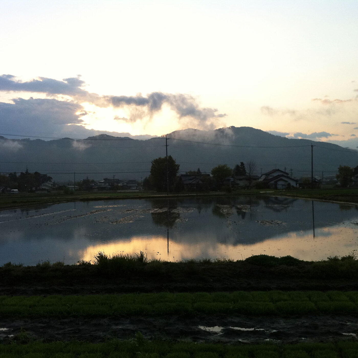 朝の山と水田